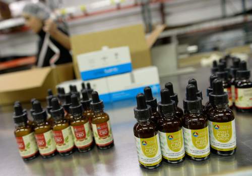 Francisco Kjolseth  |  The Salt Lake Tribune 
Utah-based company Dose of Nature is launching a line of legal Cannabidiol products made from industrial hemp extract, being assembled at Maple Mountain Co-Packers in Orem. The CBD or Cannabidiol is one of the products available for the treatment of pediatric epilepsy, autism and other neurological conditions.