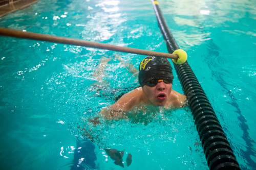 Chris Detrick  |  The Salt Lake Tribune
Sophomore Kale Walker swims at Wasatch High School Swimming Pool Thursday January 15, 2015.  A tennis ball tapped on his head helps sophomore Kale Walker know where the wall is in the pool. Walker has been blind since birth and this is his first year on the Wasatch swim team.