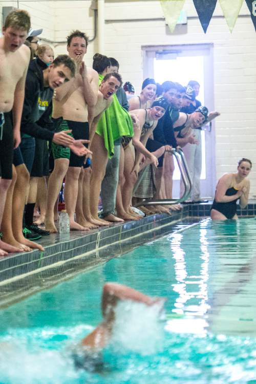 Chris Detrick  |  The Salt Lake Tribune
Teammates cheer as sophomore Kale Walker competes in the 50 freestyle race at Wasatch High School Swimming Pool Thursday January 15, 2015.  Walker has been blind since birth and this is his first year on the Wasatch swim team.