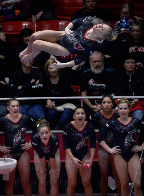 Scott Sommerdorf   |  The Salt Lake Tribune
Georgia Dabritz is cheered on by the team as she goes through her 9.875 bar routine. Utah Gymnastics defeated UCLA 196.725 - 194.725 in the Huntsman Center, Friday, January 23, 2015.