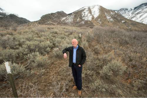 Steve Griffin  |  The Salt Lake Tribune

Alpine Mayor Don Watkins is part of an effort to prevent the residential development of this 100-acre parcel, that is in the Alpine foothills and has been zoned critical environment in the past with very strict limits on its use and development. The Utah County Council has agreed to rezone the property so the owner can develop it with 1-acre residential lots and other development. This is opposed by many citizens and environmentalists. Mayor Watkins was photographed on the land in Alpine, Utah Tuesday, January 27, 2015.