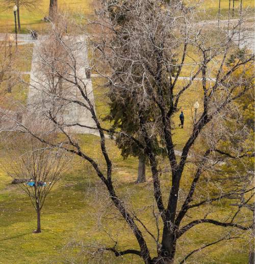 Trent Nelson  |  The Salt Lake Tribune
Pioneer Park in Salt Lake City, Wednesday February 4, 2015.