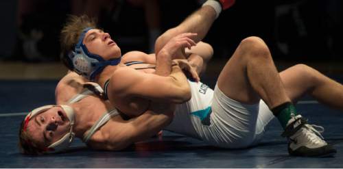 Steve Griffin  |  The Salt Lake Tribune


Bracken Lovell, of Delta, bottom, tries spin off of his back as John Manning, of Juan Diego, drives him backwards during the 2015 Simplii All-Star Duals at the Utah Valley UCCU Event Center in Provo, Tuesday, January 6, 2015.