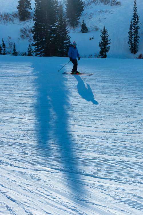Trent Nelson  |  The Salt Lake Tribune
A skier at the Alta Ski Resort, Wednesday February 11, 2015.