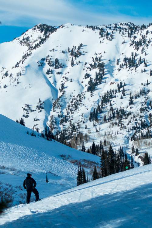 Trent Nelson  |  The Salt Lake Tribune
A skier at the Alta Ski Resort, Wednesday February 11, 2015.
