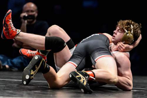 Trent Nelson  |  The Salt Lake Tribune
Morgan Palmer of American Fork, top, defeated Wyatt Knowlton of Davis in the 145 lb. 5A state championship wrestling match at Utah Valley University in Orem, Thursday February 12, 2015.