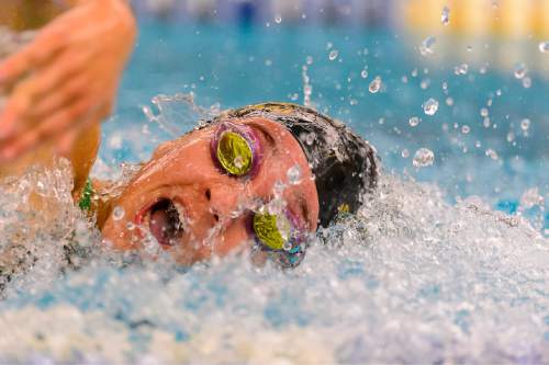 Trent Nelson  |  The Salt Lake Tribune
Highland's Makayla Harris in heat 2 of the Women 100 Yard Freestyle at the 4A state swimming championships in Provo, Saturday February 14, 2015.