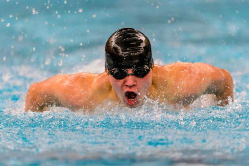 Trent Nelson  |  The Salt Lake Tribune
Wasatch's Calvin Giese in heat 1 of the Men 100 Yard Butterfly at the 4A state swimming championships in Provo, Saturday February 14, 2015.