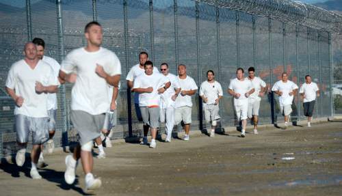 Al Hartmann  |  The Salt Lake Tribune
Forty-three male inmates in the Con-Quest substance abuse program run in the first 5K race at the Utah State Prison Thursday Aug. 28, 2014.