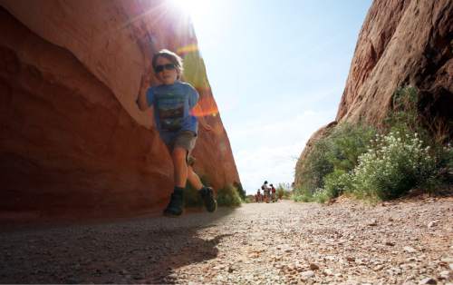 Francisco Kjolseth  |  The Salt Lake Tribune
Johnny Prokop, 5, takes off down the Devils Garden trail in Arches National park, passing the sounds of numerous foreign languages as visitors from around the world flock to one of the most famous parks in Utah.