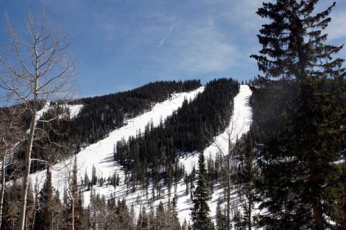 The ski runs are still empty at the former Elk Meadows ski resort above Beaver.  The last time the  lifts ran were the winter of 2002.   The resort is under new owners and named the Mount Holly Club.  It plans to cater to a rich clientelle.   Salt Lake Tribune staff photo   3/15/07