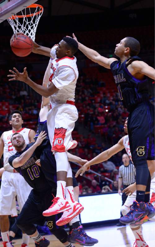 Leah Hogsten  |  The Salt Lake Tribune
Utah Utes guard/forward Dakarai Tucker (14) grabs the rebound. The University of Utah defeated Carroll College 85-49, Tuesday, December 30, 2014 at the Jon M. Huntsman Center.