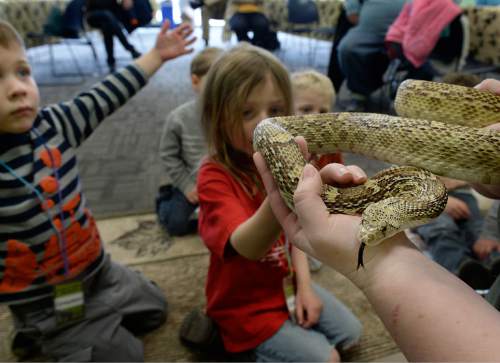 Scott Sommerdorf   |  The Salt Lake Tribune
Pre-schoolers get a look at "Cecil" the Sonoran Gopher Snake as it makes an appearance during Hogle Zoo's Pre-School class series focused on backyard creatures. The "Jungle In Your Backyard" participants learned about animals in Utah's backyards, how to identify them and their tracks and how to protect them, Saturday, February 21, 2015.