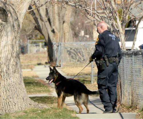 Al Hartmann  |  The Salt Lake Tribune
A Salt Lake City police K9 team searches the neighborhood near 1400 West  and 950 South Tuesday Feb. 24, 2015. A man believed to be involved in an aggravated assault and attempted kidnapping abandoned his car in the area.  Three nearby schools were put on precautionary lockdown while the neighborhood was being searched for the suspect.
