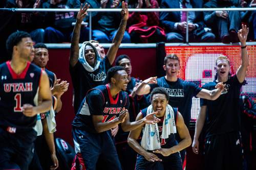 Chris Detrick  |  The Salt Lake Tribune
Members of the Utah basketball team cheer during the game at the Huntsman Center Thursday February 26, 2015.