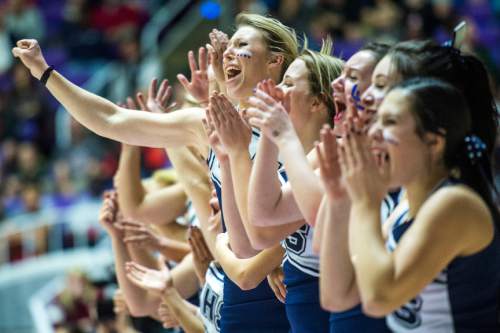 Chris Detrick  |  The Salt Lake Tribune
Layton cheerleaders during the 5A semifinal game at the Dee Events Center Friday February 27, 2015.  Layton defeated Viewmont 48-41.