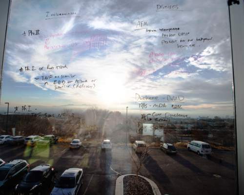 Steve Griffin  |  The Salt Lake Tribune

Notes jotted down from meetings and conversations are written on the windows of Recursion Pharmaceuticals' offices in Research Park at the University of Utah in Salt Lake City, Monday, December 8, 2014. Recursion Pharmaceuticals is a start-up company at the University of Utah and It's scientists and engineers are taking an unusual approach to drug development, and hope to develop 100 drugs in 10 years. The company says it's strategy is two-fold. Instead of targeting specific molecular targets for a disease, Recursion makes a human cellular model of the disease and then targets the resulting phenotype (its observable characteristics of the cell) by testing the ability of compounds to restore misshapen and diseased human cells to their normal appearance and function. Doing so is a good predictor of a drug's success or failure.  And instead of starting from scratch with a new compound, their business model is to partner with manufacturers to salvage and repurpose drugs that passed early safety trials but never made it to market.