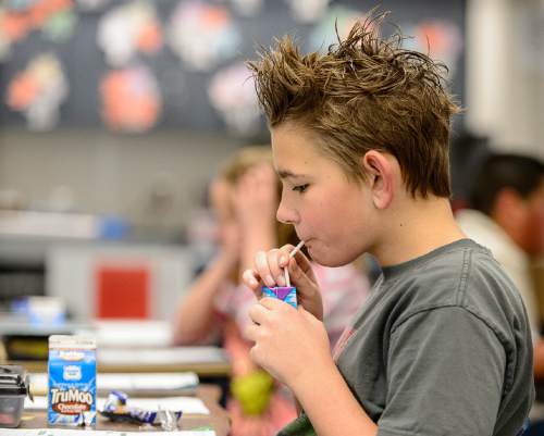 Trent Nelson  |  The Salt Lake Tribune
Wilson Aaron eats breakfast while studying at Copperview Elementary in Midvale, Tuesday March 3, 2015. Canyons School District has started a pilot program at Copperview Elementary school where breakfast is served during class, rather than before school, so that kids who can't make it to school early don't have to be hungry during the day.