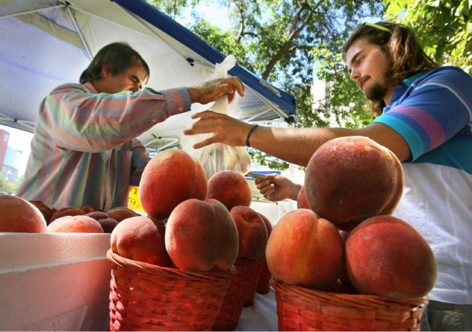 Scott Sommerdorf  |  Tribune file photo
U. student Geoffrey Strom, right, buys peaches from Ron Jensen of Ron Jensen Farms at the University of Utah's farmer's market.