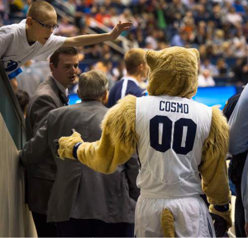 Steve Griffin  |  The Salt Lake Tribune

From 1924 through the 1940's live cougars prowled the sidelines of BYU games. It wasn't until October 15, 1953 that Daniel T. Gallego became the first person to wear the now famous costume of Cosmo the Cougar. Here Cosmo takes to the floor during a BYU basketball game in Provo, Saturday, January 31, 2015.