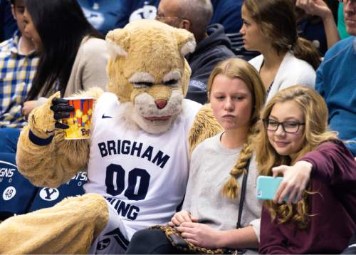 Steve Griffin  |  The Salt Lake Tribune

From 1924 through the 1940's live cougars prowled the sidelines of BYU games. It wasn't until October 15, 1953 that Daniel T. Gallego became the first person to wear the now famous costume of Cosmo the Cougar. Here Cosmo chills in the stands with fans during a BYU basketball game in Provo, Saturday, January 31, 2015.