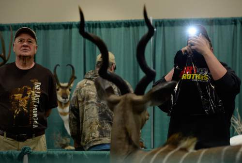 Scott Sommerdorf   |  The Salt Lake Tribune
Visitors to the International Sportsmen's Expo at the South Towne Expo Center, Thursday, March 12, 2015, examine various animals on display that are entered in the taxidermy competition. The show continues through Sunday.