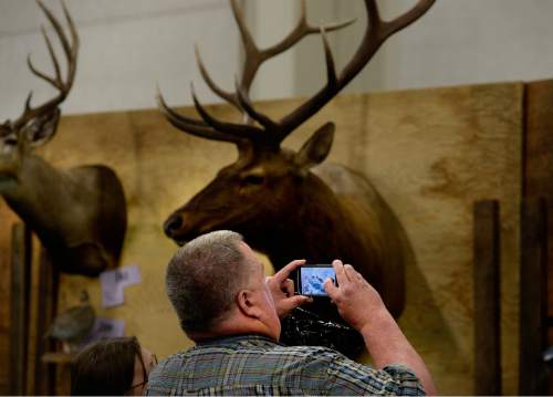 Scott Sommerdorf   |  The Salt Lake Tribune
A visitors to the International Sportsmen's Expo at the South Towne Expo Center, Thursday, March 12, 2015, makes a photo of animals on display that are entered in the taxidermy competition. The show continues through Sunday.