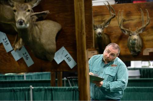 Scott Sommerdorf   |  The Salt Lake Tribune
Rick Krane examines entries as he and other judges judge the taxidermy competition underway at the International Sportsmen's Expo at the South Towne Expo Center, Thursday, March 12, 2015. The show continues through Sunday.