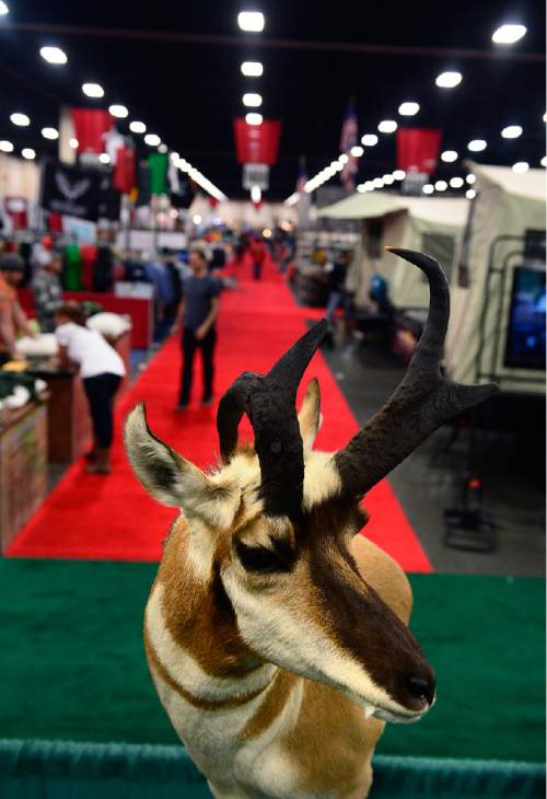 Scott Sommerdorf   |  The Salt Lake Tribune
A taxidermy antelope is on display at the International Sportsmen's Expo at the South Towne Expo Center, Thursday, March 12, 2015. The show continues through Sunday.