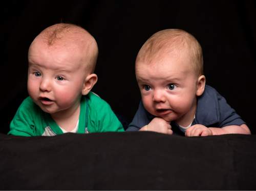 (Jaren Wilkey  |  BYU courtesy photo)
Cousins Markham Reid Carter (blue) and Lucas Dowell Richardson (green) pose for a photo illustration on how babies as young as 5 months old can communicate. June 25, 2013