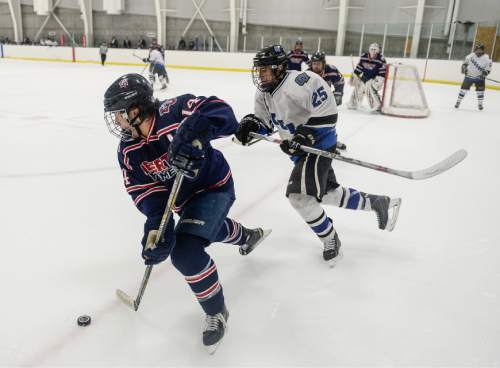 Francisco Kjolseth  |  The Salt Lake Tribune 
The world of Division II club hockey descends on the University of Utah as hundreds of college students from 16 schools around the nation spend untold sums to converge on Salt Lake City's Utah Ice Sheet for the ACHA National Championships.