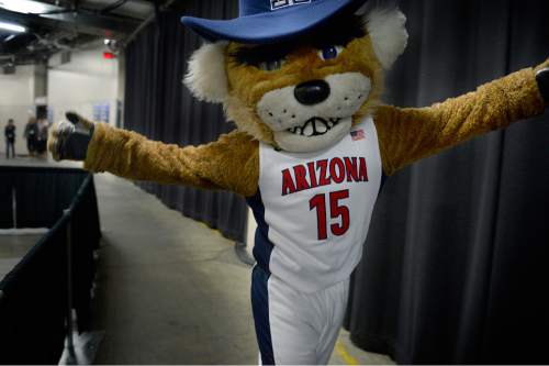 Scott Sommerdorf   |  The Salt Lake Tribune
The Arizona Wildcat mascot walks the back hallways during half-time of their win over Ohio State, Saturday, March 21, 2015.