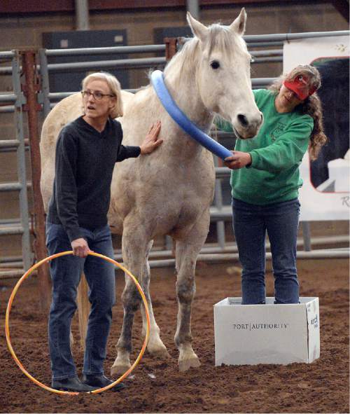Al Hartmann  |  The Salt Lake Tribune 
Mental health counselors Julia Temple, left, and Christianna Capra try to gain the trust of a horse using props at the Equine Assisted Growth and Learning Association's 16th annual conference at Legacy Arena in Farmington Thursday March 26, 2015. EAGALA is a Santaquin-based nonprofit that uses horses in therapy for veterans, couples and at-risk youth and well as for team-building and personal development. The method can be used with or to replace talk therapy, and is being used all over the world. 
EAGALA says it has more than 4,500 members in 50 countries in Africa, North America, the Middle East, Latin America and Australia, who are using its techniques.