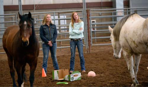 Al Hartmann  |  The Salt Lake Tribune 
Psychotherapy counselors Liz Letson, left, and Angie Fournier 
try to gain the trust of a horse using props at the Equine Assisted Growth and Learning Association's 16th annual conference at Legacy Arena in Farmington Thursday March 26, 2015. EAGALA is a Santaquin-based nonprofit that uses horses in therapy for veterans, couples and at-risk youth and well as for team-building and personal development. The method can be used with or to replace talk therapy, and is being used all over the world.