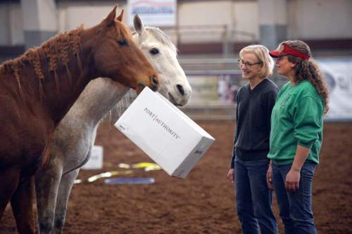 Al Hartmann  |  The Salt Lake Tribune 
Mental health counselors Julia Temple, left, and Christianna Capra try to gain trust and interact with horses at the Equine Assisted Growth and Learning Association 16th annual conference at Legacy Arena in Farmington Thursday March 26, 2015. They have connected with a pair of horses that appear to want to play a game with a cardboard box. EAGALA is a Santaquin-based nonprofit  that uses horses in therapy for veterans, couples and at-risk youth as well as for corporate team-building. The method can be used with or to replace talk therapy, and is being used all over the world.