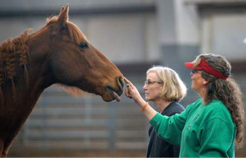 Al Hartmann  |  The Salt Lake Tribune 
Mental health counselors Julia Temple, left, and Christianna Capra try to gain the trust of  a horse at the Equine Assisted Growth and Learning Association 16th annual conference at Legacy Arena in Farmington Thursday March 26, 2015. In this situation the horse is a "client" and sticks his tongue out during the exchange. EAGALA is a Santaquin-based nonprofit that uses horses in therapy for veterans, couples and at-risk youth as well as for corporate team-building. It can be used with or to replace talk therapy, and is being used all over the world.