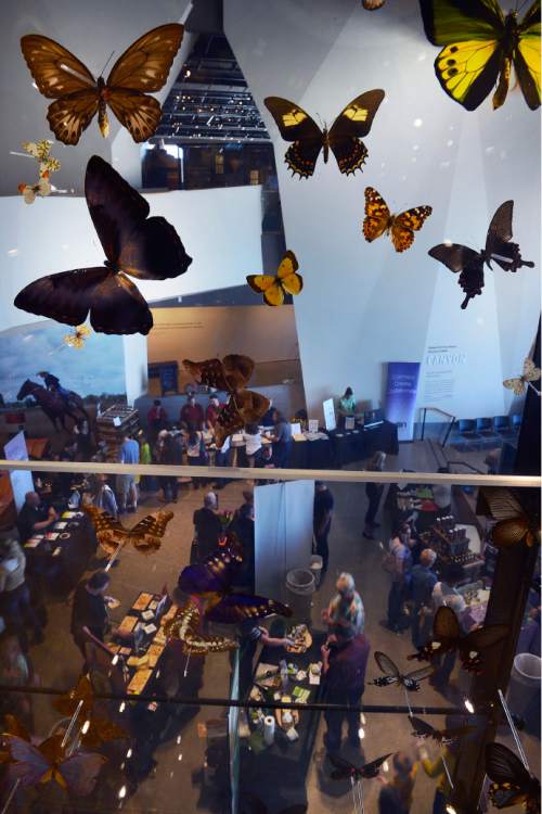 Scott Sommerdorf   |  The Salt Lake Tribune
Visitors to the Natural History Museum of Utah's Chocolate & Cheese Festival visit booths in the lobby of the museum seen through a display of butterflies on the upper floor, Sunday, March 29, 2015.