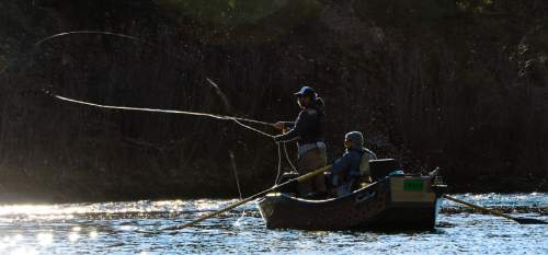 Francisco Kjolseth  |  The Salt Lake Tribune
River guide Colby Crossland, left, is joined by friend and fellow river guide Eli Koles as they cast a line at the office on the "B" section of the Green River.