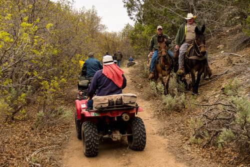 Trent Nelson  |  The Salt Lake Tribune
Mounted law enforcement officers move off the trail as motorized vehicles make their way through Recapture Canyon, which has been closed to motorized use since 2007, after a call to action by San Juan County Commissioner Phil Lyman. Saturday May 10, 2014 north of Blanding.