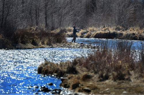Scott Sommerdorf   |  The Salt Lake Tribune
A fly fisherman casts his line in the middle Provo river near Midway, Sunday, March 8, 2015.