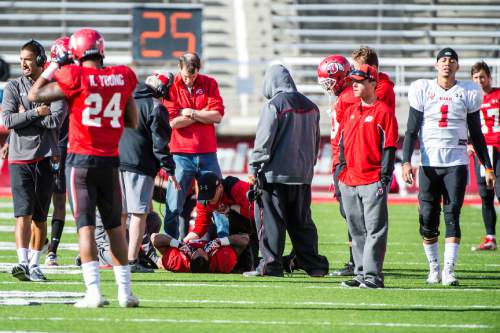 Chris Detrick  |  The Salt Lake Tribune
Utah Utes sophomore running back Troy McCormick remains on the ground during a practice at Rice-Eccles Stadium Friday April 3, 2015.