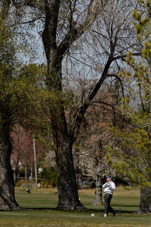 Trent Nelson  |  The Salt Lake Tribune
Despite a City Council recommendation that Mayor Ralph Becker consider closing Nibley Park Golf Course, a deed from 1922 says that if the city does not use the land as a golf course, it must be returned to the Nibley family. Saturday April 4, 2015.