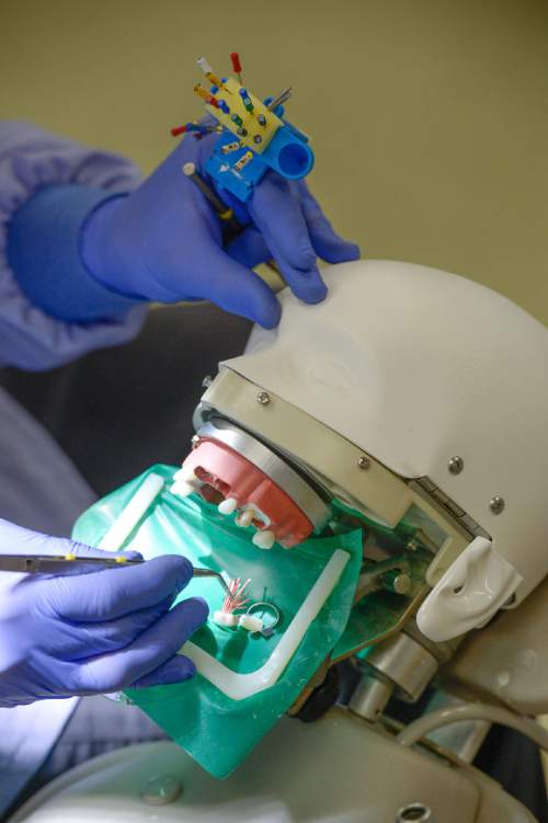 Francisco Kjolseth  |  The Salt Lake Tribune 
Second-year dental students work work on root canals in the simulation lab. On Wednesday, April 8, 2015, the new $36 million building, largely funded by Utah philanthropists the late Ray and Tye Noorda, was dedicated and will be called the Ray and Tye Noorda Oral Health Sciences Building.