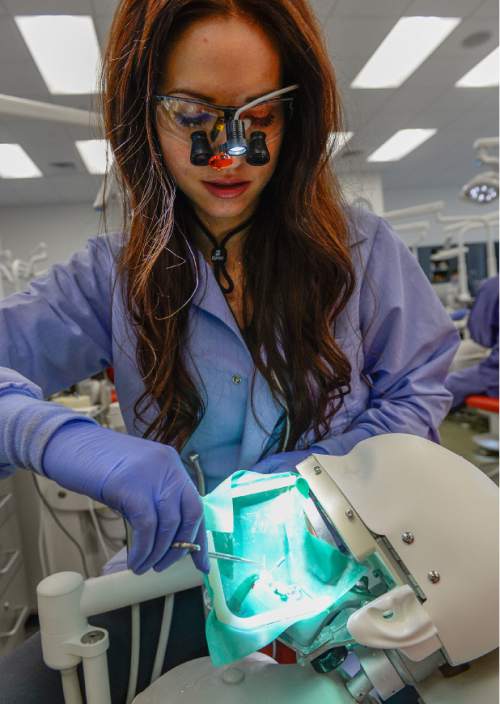 Francisco Kjolseth  |  The Salt Lake Tribune 
Kathryn Cameron, a second-year dental student, practices a root canal procedure in the simulation lab at the University of Utah's new School of Dentistry. The school accepted its first four-year class of 20 students beginning in 2013 but they have had to share classroom space with others in medicine, nursing and pharmacy while the dentistry building was under construction. On Wednesday, April 8, 2015, the new $36 million building, largely funded by Utah philanthropists the late Ray and Tye Noorda, was dedicated and will be called the Ray and Tye Noorda Oral Health Sciences Building.