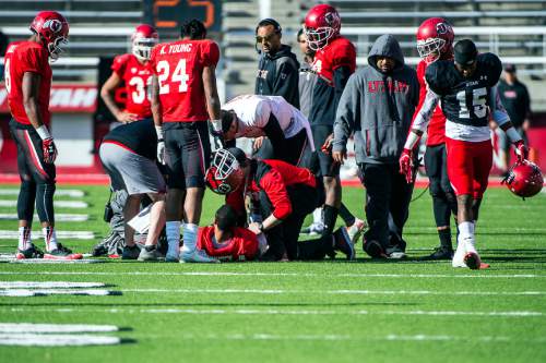 Chris Detrick  |  The Salt Lake Tribune
Utah Utes sophomore running back Troy McCormick remains on the ground during a practice at Rice-Eccles Stadium Friday April 3, 2015.