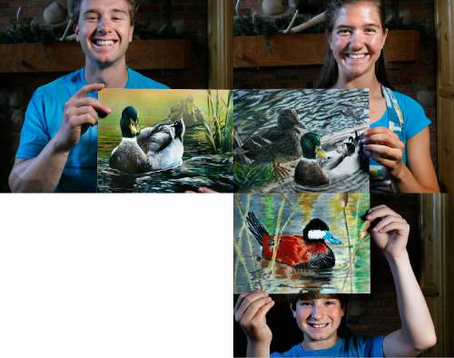 Composite photo by Scott Sommerdorf  |  The Salt Lake Tribune
The three Gray family children from North Ogden: 
Upper left:  Greg Gray (21 yrs) with "Mallards in the Mist" (2008 winner) 
Upper right: Jaycee Gray (16 yrs) with "Morning Mallards" (2010 winner)
Lower right: Brad Gray (12 yrs.) with "Ruddy Puddle Duck" (2011 winner)
Gray siblings Greg, Jaycee and Brad, have all won the Utah Junior Duck Stamp art contest. Brad, 12 is the latest to do so this past spring. Photographed in their home in North Ogden, Monday, June 26, 2011.
