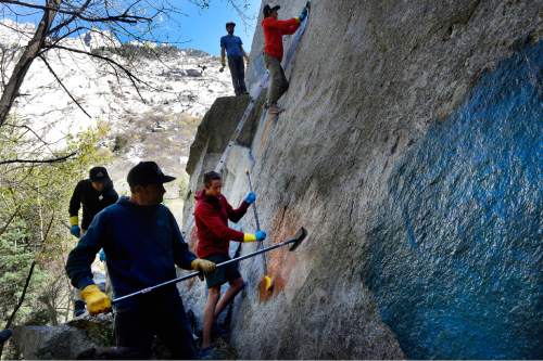 Scott Sommerdorf   |  The Salt Lake Tribune
Volunteers with the ROCK Project scrub graffiti with Elephant Snot solvent during their cleanup effort in Little Cottonwood Canyon, Sunday, April 12, 2015.