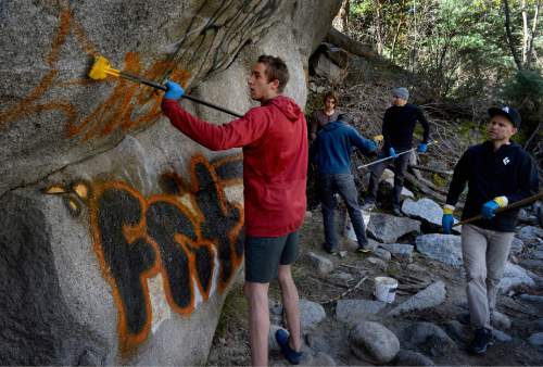 Scott Sommerdorf   |  The Salt Lake Tribune
Volunteer Hayden Jamison scrubs a graffito with solvent during the ROCK Project cleanup effort in Little Cottonwood Canyon, Sunday, April 12, 2015.