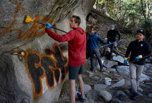 Scott Sommerdorf   |  The Salt Lake Tribune
Volunteer Hayden Jamison scrubs a graffito with Elephant Snot solvent during the ROCK Project cleanup effort in Little Cottonwood Canyon, Sunday, April 12, 2015.