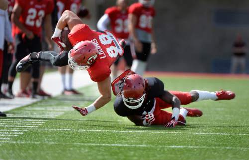 Scott Sommerdorf   |  The Salt Lake Tribune
Utah WR Taylor Loomis is knocked flying after a catch during University of Utah Spring scrimmage at Rice-Eccles Stadium, Saturday, April 11, 2015.